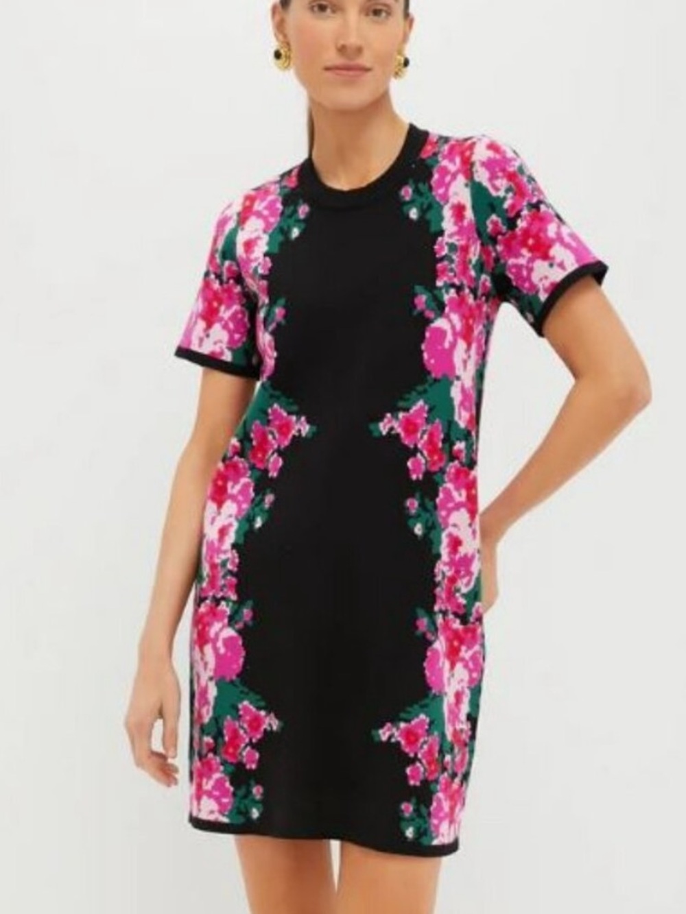 Tuckernuck Climbing Roses Knit Jacquard Marie Mini Dress Size XS